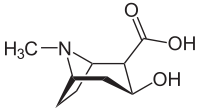 Ecgonine