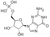 Guanosine 5-monophosphate