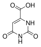 Orotic Acid Anhydrous