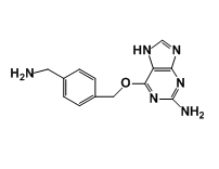 6-(4-(aminomethyl)benzyloxy)-7H-purin-2-amine