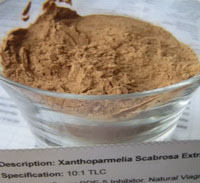 Xanthoparmelia Scabrosa extract