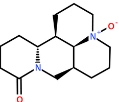 Oxymatrine