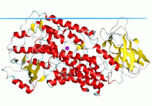 Lipoxygenase