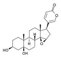 Telocinobufagin