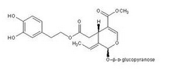 Oleuropein