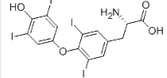 L-Thyroxine