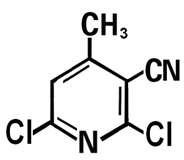 2,6-dichloro-3-cyano-4-methyl pyridine