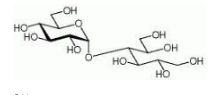 Maltitol