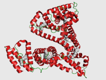 Human Albumin