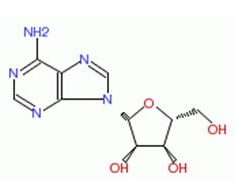 Adenosine