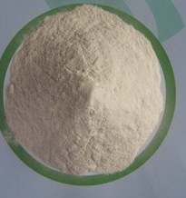 Hydroxy Propyl Methyl Cellulose