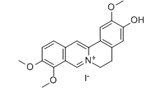 Jatrorrhizine