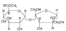 Alpha-d-Glucopyranoside