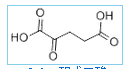 Alpha Ketoglutaric Acid