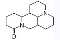 Sophoridine