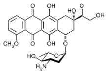 Epirubicin