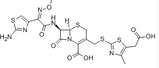 Cefodizime