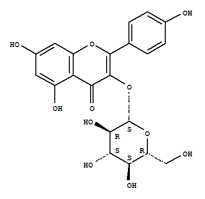 Astragalin