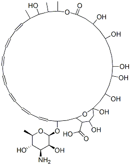 Amphotericin B