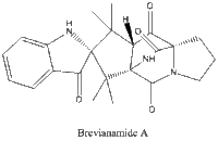 Brevianamide A