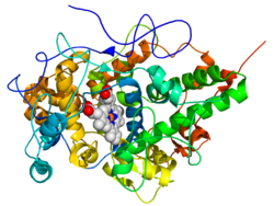 Lactoperoxidase