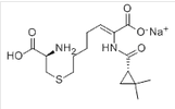 Imipenem and Cilastatin Sodium