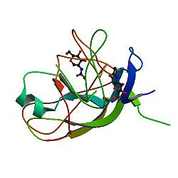 Human chorionic gonadotropin