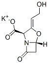 Potassium Clavulanate