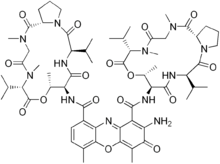 Dactinomycin