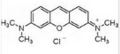 Xanthylium