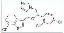 Ertaczo