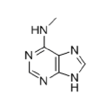 6-(METHYLAMINO)PURINE