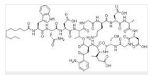 Best Quality Daptomycin