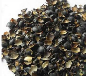 Black Bean Skin Extract