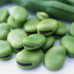 Broad bean extract