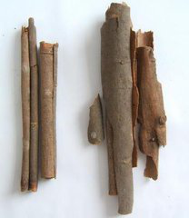 Cassia Twig Extract