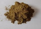 Celery seed powder