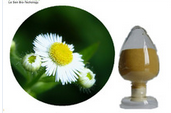 Chamomile flower extract (apigenin)