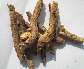 Cortex Periplocae Extract