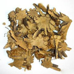 Cyrtomium Rhizome Extract