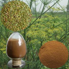 Fennel Extract