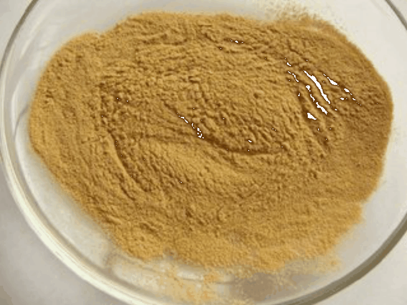 Ginger extract