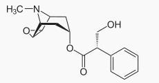 High quality Scopolamine