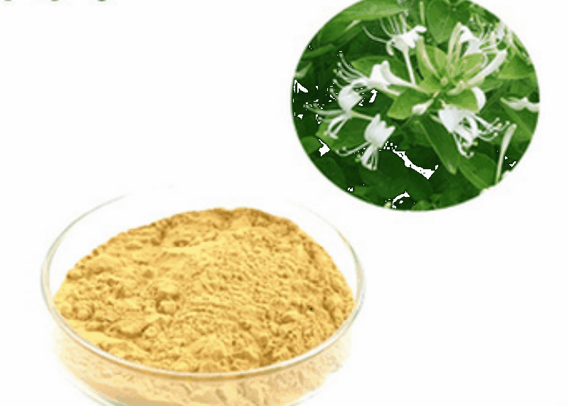 HoneySuchle Flowers Extract