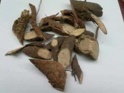 Indian Stringbush Root Extract