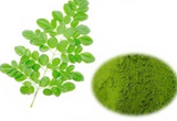 Moringa Extract powder