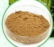 Natural Usnea longissimus extract