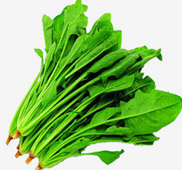 Spinach extract