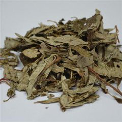 Thorny Elaeagnus Leaf Extract