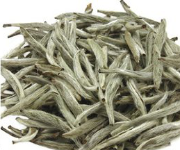 White Tea Extract